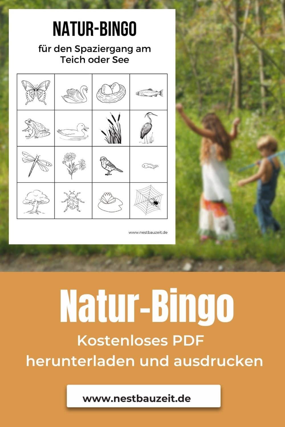 Natur-Bingo am See oder Teich: Kostenloses PDF zum Ausdrucken