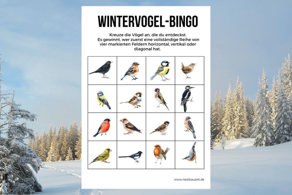 Wintervogel-Bingokarte vor Schneelandschaft